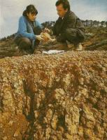 Nadine Gomez et le reporter de GEO examinent un oeuf de dinosaure